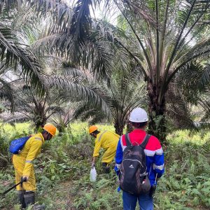 Elnusa Selesaikan Proyek Survei Seismik 3D Lisaman, Areanya Mencakup Tiga Kabupaten Ini