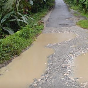 Tender Tahap Dua Peningkatan Jalan PUPR Banggai Capai Puluhan Miliar, Ini Daftar Proyek per Kecamatan Termasuk Ondo-Ondolu