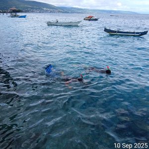 Peneliti Unismuh Luwuk Banggai Survei Populasi Ikan Capungan Banggai di Maahas Pantai Luwuk Selatan