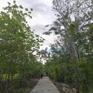 PUPR Banggai Genjot Proyek Jalan Lingkungan, Progres Capai 60 Persen Lebih