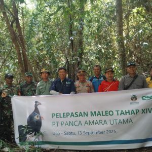 Kolaborasi PT PAU dan BKSDA Sulteng, Burung Maleo Dilepasliarkan di Suaka Margasatwa Bakiriang