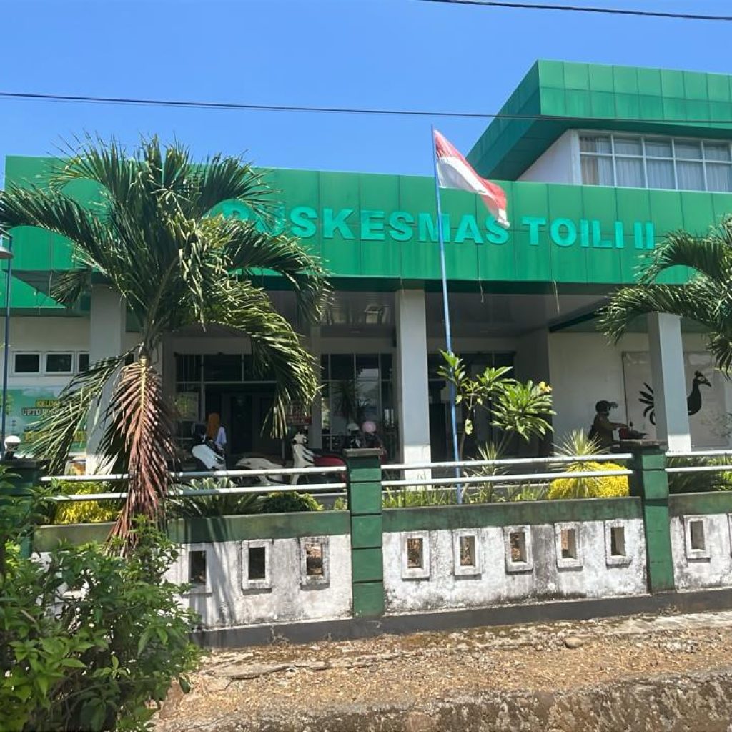 Pemekaran Wilayah, Dinkes Banggai Upayakan Toili Miliki Puskesmas Sendiri